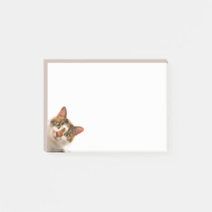 Post-it® Chat Amusant Chaton Qui Vous Regarde Animal Mignon