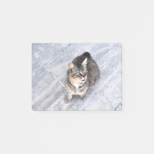Post-it® Chat domestique