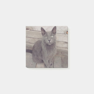 Post-it® Chat gris