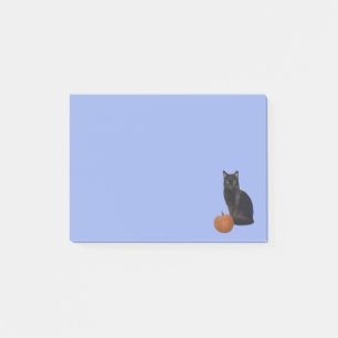 Post-it® Chat noir et Citrouille orange Photos Bleu clair