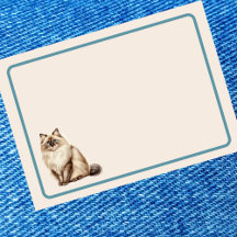 Chat Ragdoll chic et élégant
