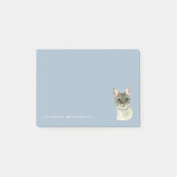 Chat tigré avec le portrait de yeux assez verts