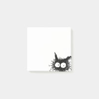 Chaton mal peigné noir GabiGabi
