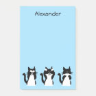 Chats de Tuxedo | Trois Kitties Sages Bleu clair