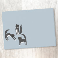 Chats Tuxedo noirs et blancs
