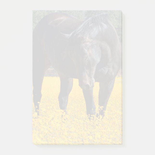 Post-it® Cheval de baie dans un champ de fleurs jaunes (Devant)