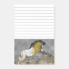 Cheval sauvage d'Appaloosa de peau de daim