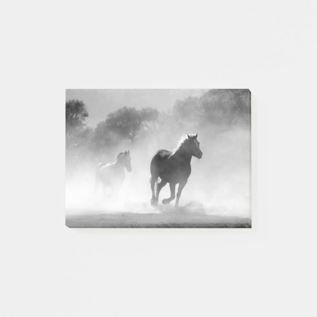 Post-it® Chevaux de course noir et blanc Photo Artwork (Devant)