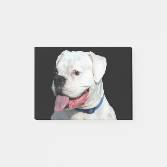Post-it® Chien blanc de boxeur (Devant)