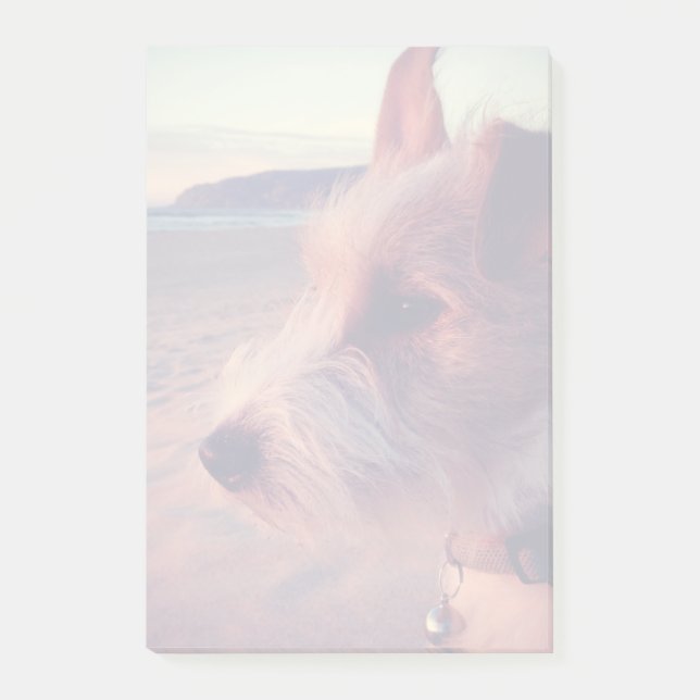 Post-it® Chien Face De La Plage (Devant)
