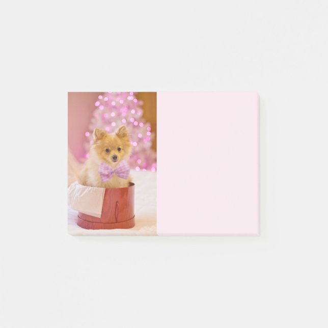 Post-it® Chien mignon avec cou rose Photographie de Noël (Devant)