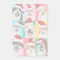 Chiens et chats avec barbe de Père Noël