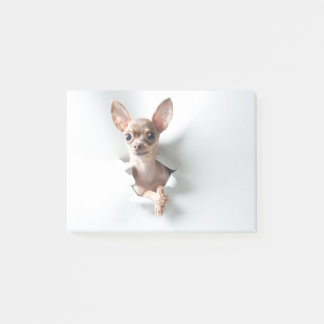 Post-it® Chihuahua