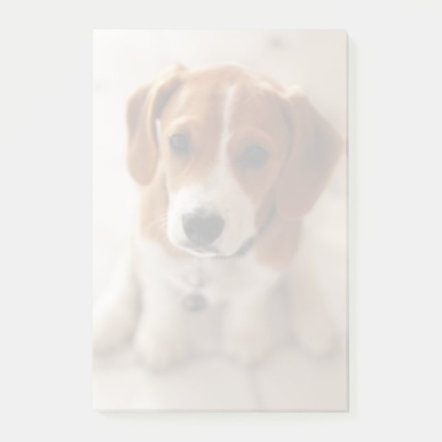 Post-it® Chiot Beagle 2 (Devant)
