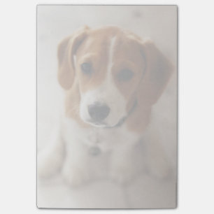 Post-it® Chiot Beagle 2