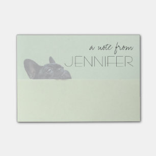 Post-it® Chiot de bouledogue français scrutant au-dessus du