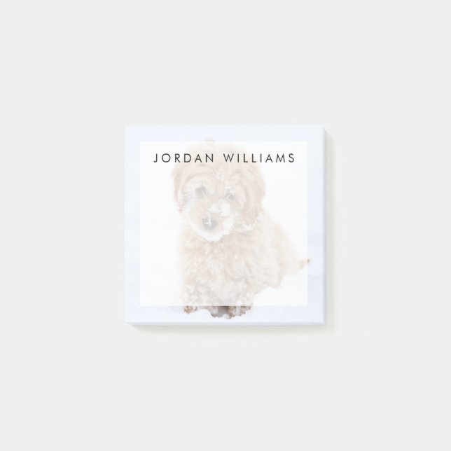 Post-it® Chiot De Goldendoodle Avec La Neige À La Face (Devant)