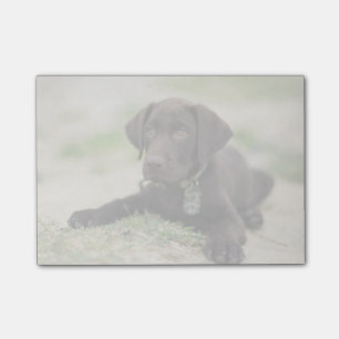 Post-it® Chiot de laboratoire de chocolat