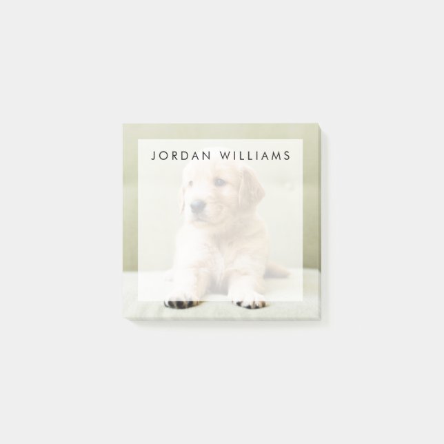 Post-it® Chiot d'or sur un canapé (Devant)