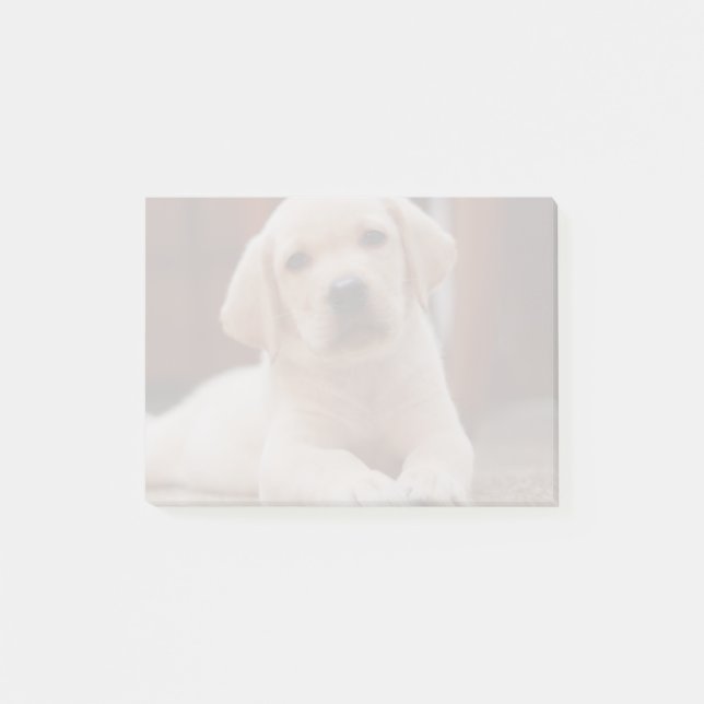 Post-it® Chiot jaune de Labrador de bébé s'étendant sur le (Devant)