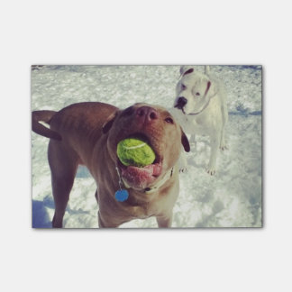 Post-it® Chiots jouant le bloc-notes de boule