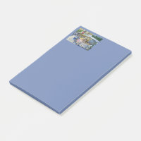 Coin de Flying Pig Farm et Wine a Bit.