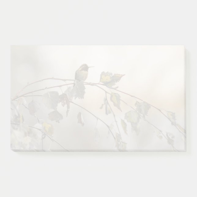Post-it® Colibri 5265 (Devant)