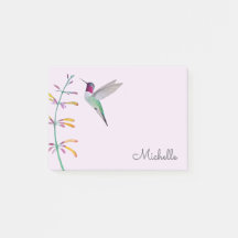 Colibri d'Anna personnalisé 