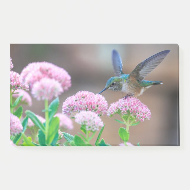 Post-it® Colibri Et Fleurs (Devant)