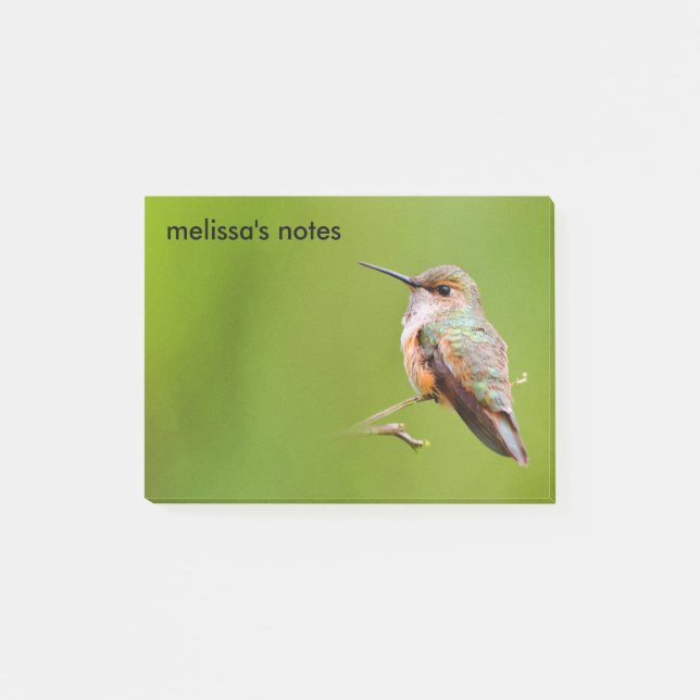 Post-it® Colibri roux sur la succursale de California Lilac (Devant)