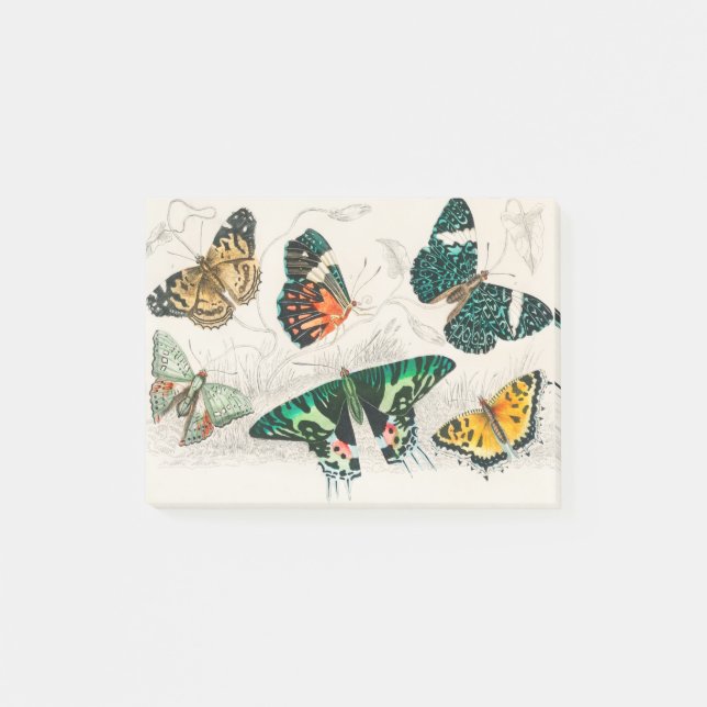 Post-it® Collection of Various Butterflies (Devant)