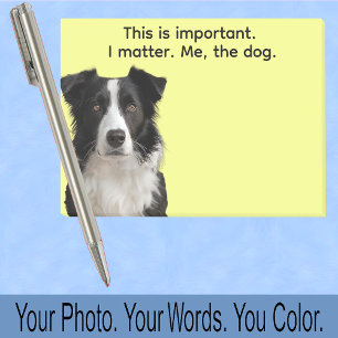 Post-it® Collie ou photo de votre chien — petit cadeau dans