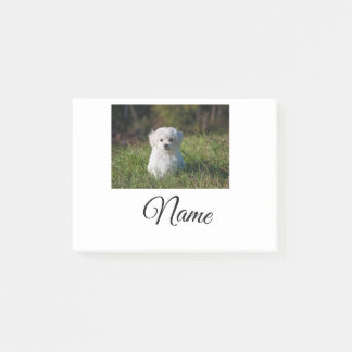 Post-it® Colorful animal add name photo custom throw