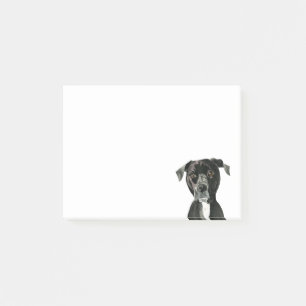Post-it® "Contemplant" la peinture de chien de pitbull