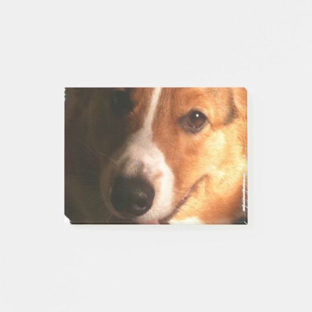 Post-it® Corgi (Devant)