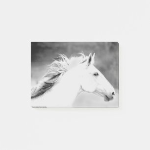 Post-it® Crinière de LIN26BW dans le Wind.tif