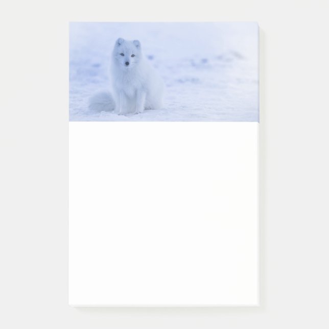 Post-it® Cute Arctic Fox sur Snowy Winter Arrière - plan (Devant)