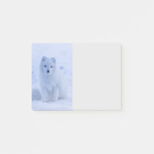Post-it® Cute Arctic Fox sur Snowy Winter Arrière - plan