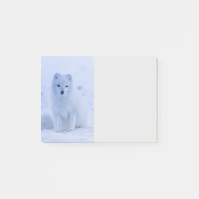 Post-it® Cute Arctic Fox sur Snowy Winter Arrière - plan (Devant)