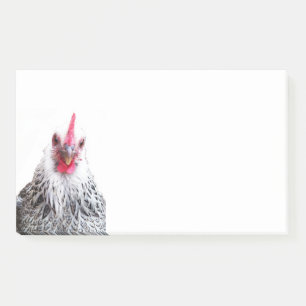 Post-it® Cute Bantam Cochin Hen Photo 10x6 Notes