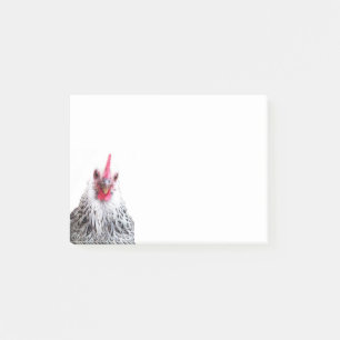 Post-it® Cute Bantam Cochin Hen Photo 4x3 Notes