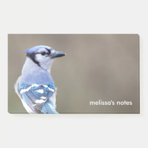 Post-it® Cute Bleu Jay Songbird sur Treestump