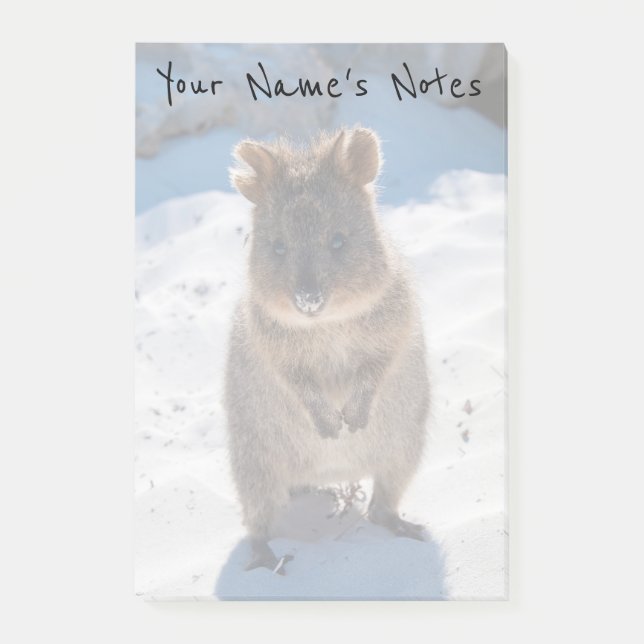 Post-it® Cute personnalisée et joyeux Quokka sur la plage (Devant)
