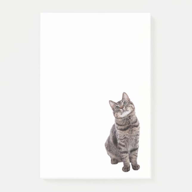 Post-it® Cute tabby Chat (Devant)