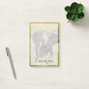 Post-it® Cutest Baby Animals   Baby Elephant Kenya Africa