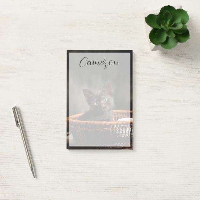 Post-it® Cutest Baby Animals | Kitten in Basket (Bureau)