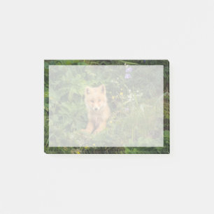 Post-it® Cutest Baby Animals Red Fox at Umnak Alaska