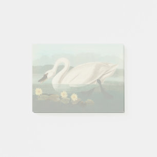 Post-it® cygne audubon cygnes d'eau blanche