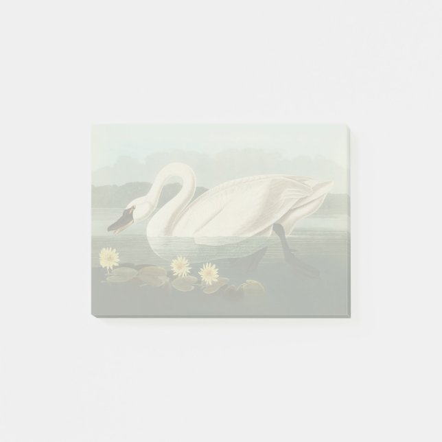 Post-it® cygne audubon cygnes d'eau blanche (Devant)