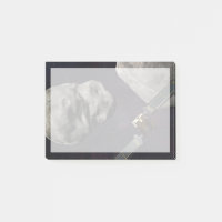 Dart Spacecraft Et Le Liciacube Avant Impact